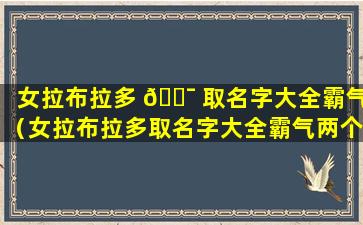 女拉布拉多 🐯 取名字大全霸气（女拉布拉多取名字大全霸气两个字）